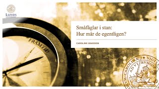 Framtidsdagarna 2024 - Småfåglar i stan: hur mår de egentligen?