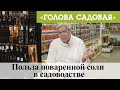 Голова садовая - Польза поваренной соли в садоводстве