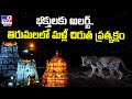 Big Alert: Leopard spotted in Tirumala