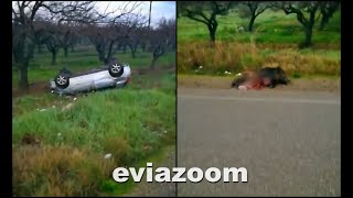 EviaZoom.gr - ΒΙΝΤΕΟ αναγνώστη | Τροχαίο Ριτσώνα: Σφοδρή σύγκρουση αυτοκινήτου με αγριογούρουνο....