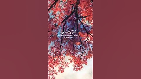 تلاوة خاشعة تريح القلب الشيخ ياسر الدوسري #ياسر_الدوسري #quran #قرآن #تلاوةخاشعة