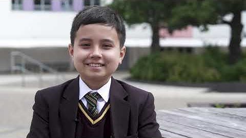 Welcome to Sedgehill Academy