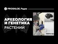 Археология и Генетика растений