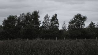 When the Weather Matches Your Mood | Grey Summer Day Ambience screenshot 2