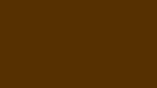 10 Hours of #592f00 (Saddlebrown)
