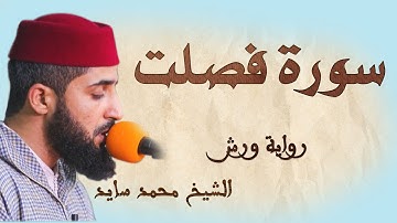 سورة فصلت | تلاوة هادئة ومتقنة للشيخ محمد سايد | برواية ورش