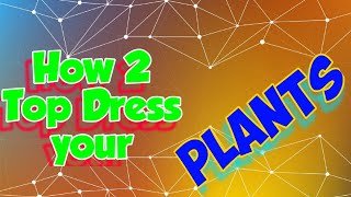 How to Top Dress your Plants for Beginners