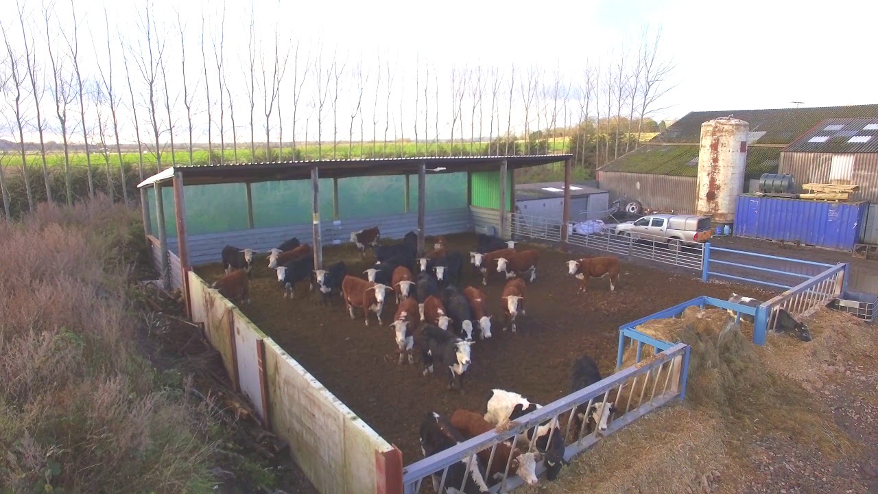 Dovecote Farm Shop & Cafe. Barton in Fabis YouTube