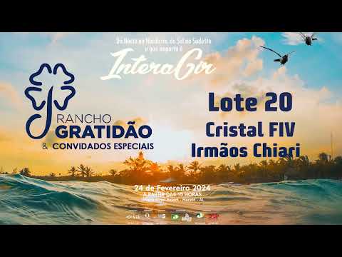 Lote 20   Cristal FIV  Irmaos Chiari    AICH115