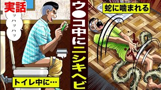 【実話】大便中に…ニシキヘビに噛まれた男。便器の中にいた。