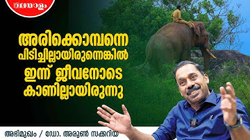 അരിക്കൊമ്പൻ ഫാൻസിന്റെ മാനസികാവസ്ഥ എനിക്ക് മനസിലാകും | Dr Arun Zachariah Interview