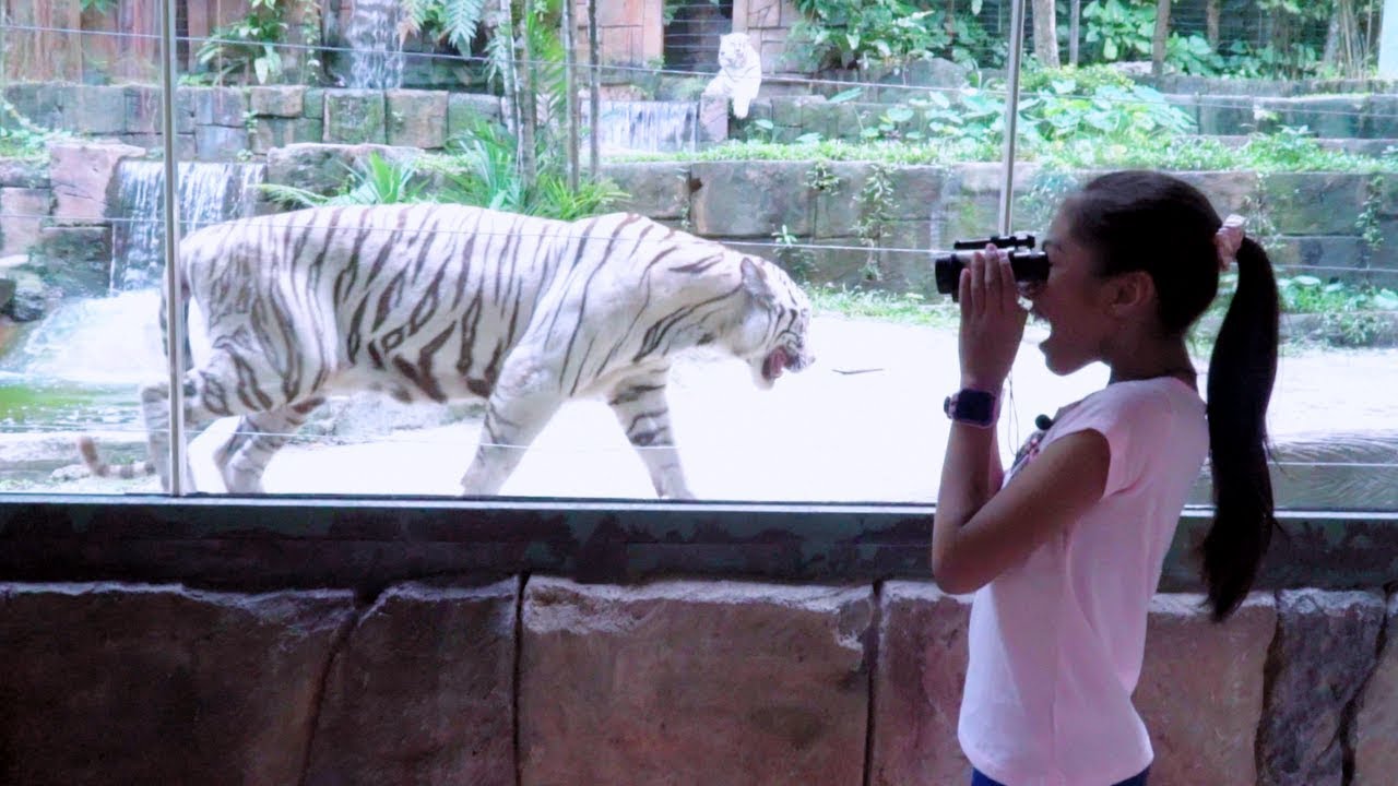 Main Ke Kebun Binatang Malaysia - Sunway Lagoon Part#1