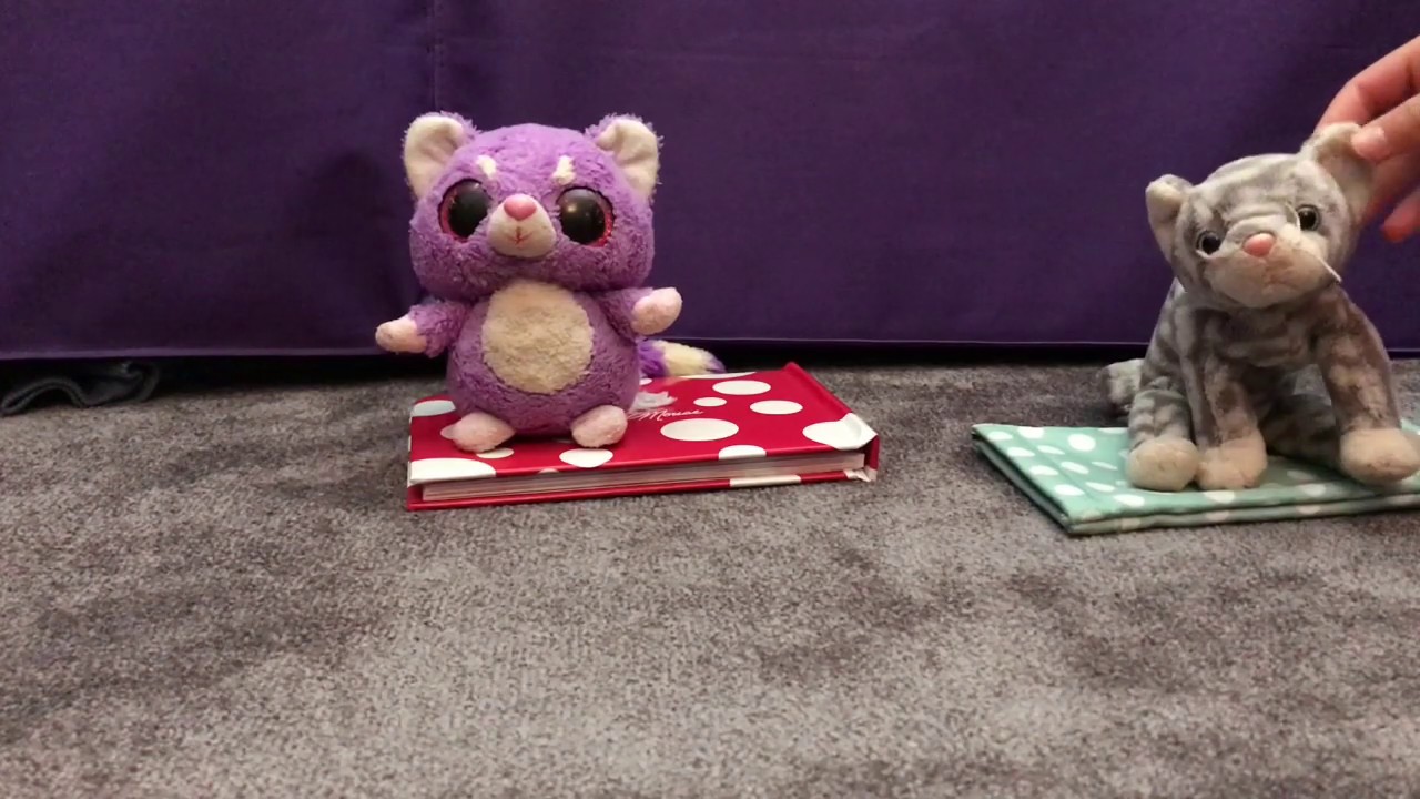 Wake Up Shake Up 1 YouTube