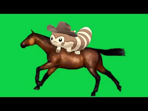 Furret On an Horse green screen