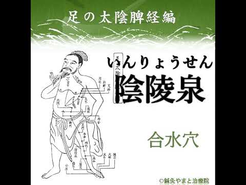 【ツボ学習】経穴名を覚えよう【足の太陰脾経編】 - YouTube