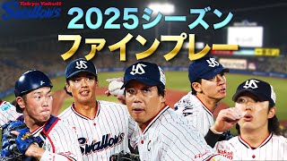 ヤクルトスワローズ 2025 ファン感 セットz オンライン | ファン感謝DAY2025 presented by マイナビ | 東京