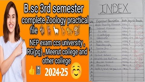 B.sc 3rd semester || Zoology practical file || NEP exam ccs university/RG(pg)/meerut college 2024-25