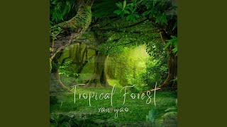 Tropical Forest