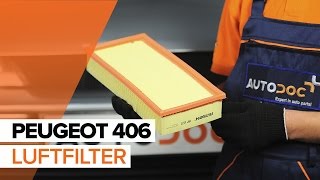 Wie PEUGEOT 406 (8B) Motorluftfilter tauschen - Video-Anweisung