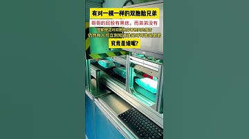 究竟是谁#湿纸巾包装机#湿巾机 #packagingmachinery#湿纸巾机#AutomaticWetTissueEquipment#全自动湿巾机#WetTissueMachineFactor y