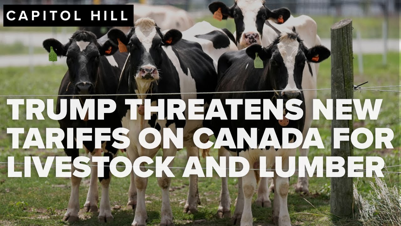 Trump threatens new tariffs on Canadian dairy and lumber, escalating ...