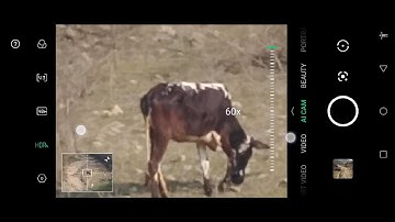 Infinix Zero X Neo 📷 60x Camera Zoom Test