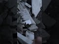Plant extraction from marble ka dher aka krezi