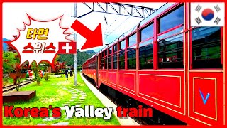 How about traveling on the best Baekdudaegan Gorge Train (V-train) in Korea, like a Swiss train?