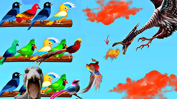 Bird🦜 Color Sort Game Video 2022 - Android Gameplay