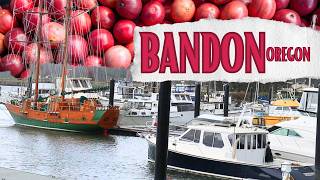 Beyond The Beach  Seeing The Real Bandon Oregon