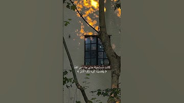 أكتب شي تؤجر عليه 🤍............ #اكسبلور #القرآن_الكريم #قرآن #هزاع_البلوشي #سورة_الحجر