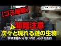 【閲覧注意】お部屋から次々と現れる謎の生物たち...ゴミ屋敷の清掃に密着【遺品整理士/特殊清掃】
