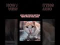 Wait what?! #subscribe #mountains #beautifulnature #aesthetic #videogames #gaming #yt #cat #shorts