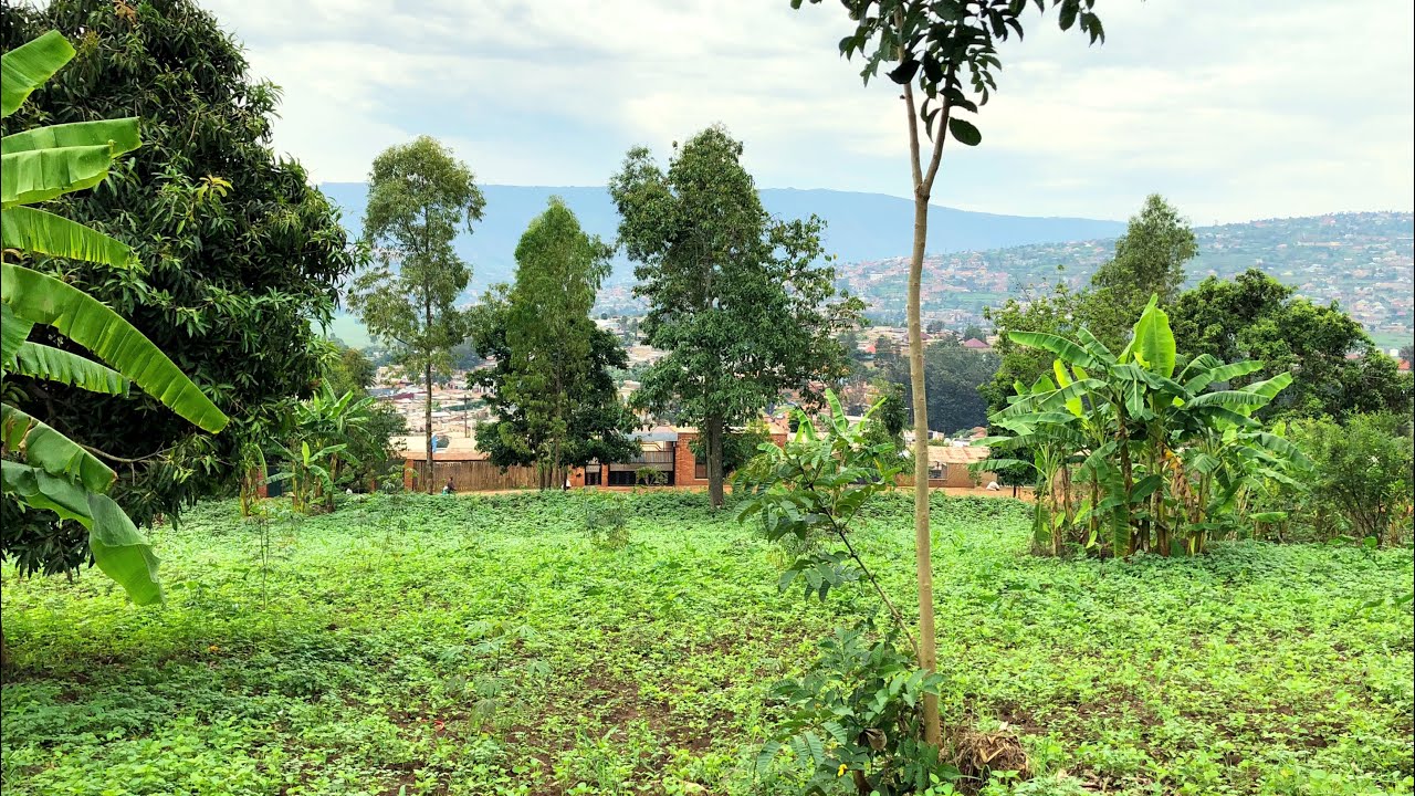 Big Land For Sale In Kigali Rwanda, Kagugu YouTube