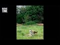 🔴Ukrainian 9K115 Metis wire-guided anti-tank guided missile #war #shorts #ukraine #military