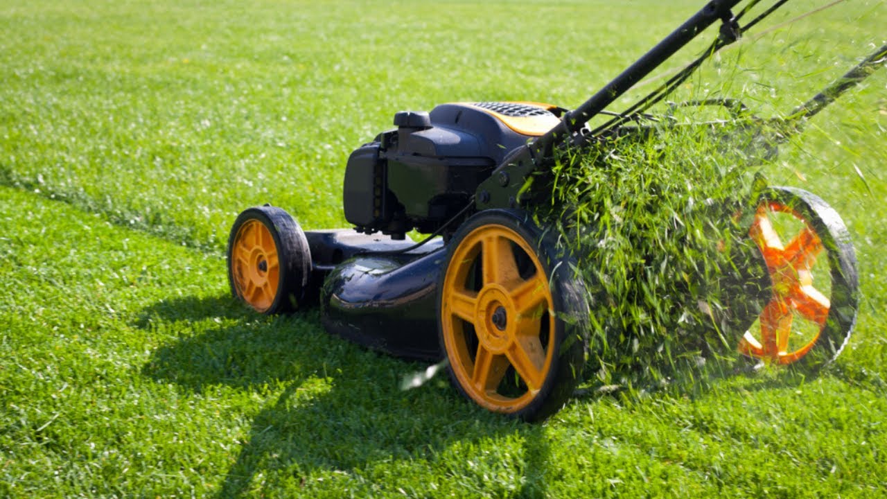 Top 10 Best Lawn Mower 2020 YouTube