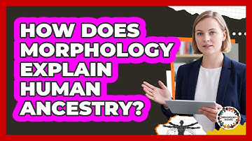 How Does Morphology Explain Human Ancestry?