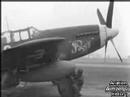 P-51B 4312451 "Peggy" AKA "Live Bait"