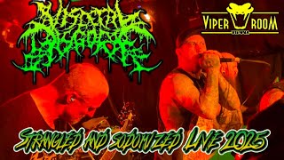 Visceral Disgorge -   Strangled And Sodomized -  Live Viper Room Vienna 2025 4K