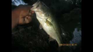 minda lures spear worms spring fishing for bass