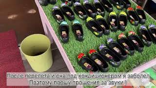 картинка: ПУСАН | деревня Гамчон | брожу один