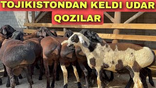 TOJIKISTONTAN XOZIR KELDI SILARUCHUN SHOSHILING