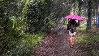 4K Walking In The Rain : First Person POV in MacRitchie Reservoir Lornie Trail Singapore Rain Walk by Ambient Walking 592 views 5 months ago 14 minutes, 10 seconds
