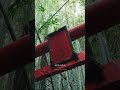 【山口】鬼滅の刃の世界観です、、