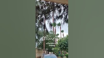 #تلاوة_هادئة #أرح_سمعك_وقلبك #قران_كريم #morocco #fes #السعودية#الكويت#الامارات#قطر#عمان#البحرين_