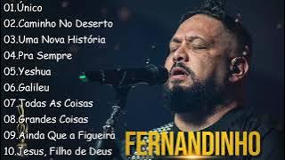 FERNANDINHO | Único, Caminho No Deserto... | Top 10 Hinos Gospel Mais Ouvidos #musicasgospel #gospel