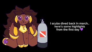 scuba diving highlights!! 🤿