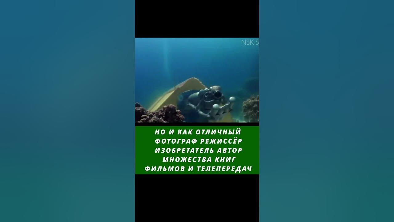 11 Июня - День Жака - Ива КУСТО - Календарь - #shorts - YouTube