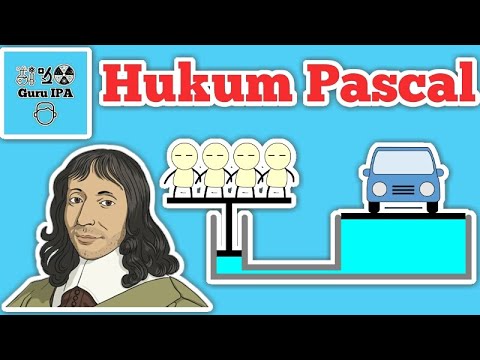 Video: Bolehkah pascal datang dua kali sehari?