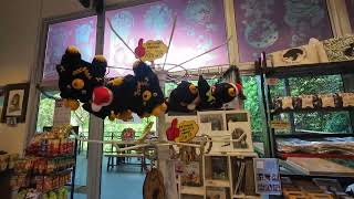 Borneon Sun Bear Conservation Centre Sandakan Sabah